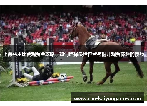 上海马术比赛观赛全攻略：如何选择最佳位置与提升观赛体验的技巧
